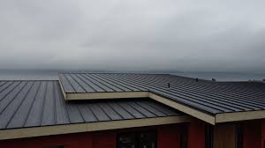 Best Roof Coating Services  in Fruitvale, CO